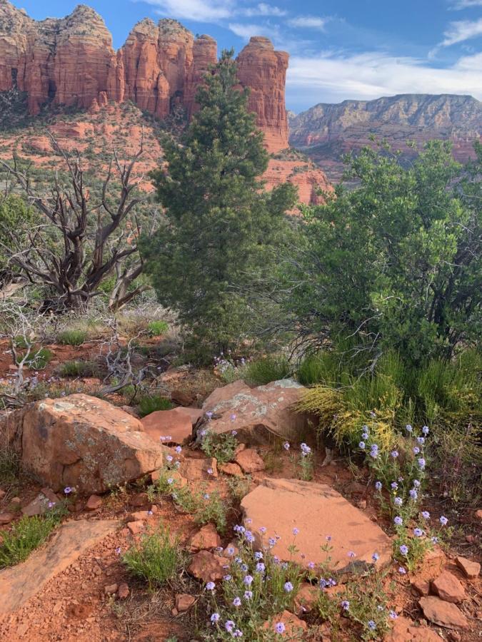 Sedona Thunder Mountain Room Exterior foto